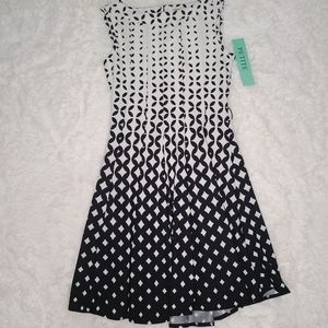 Haani Black and White Sleeveless Fit and Flare Dress